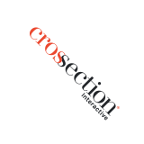 Cross Section Interactive Logo